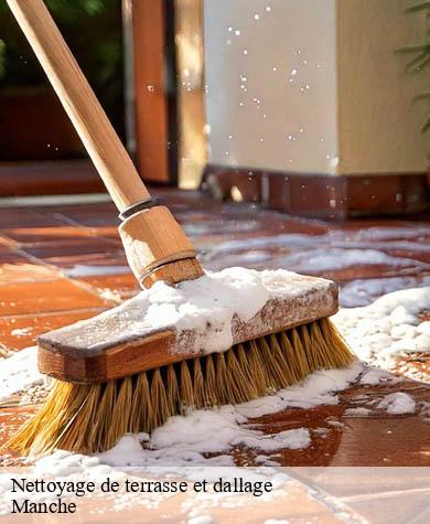 Nettoyage de terrasse et dallage  50 Manche  Capello Elagage