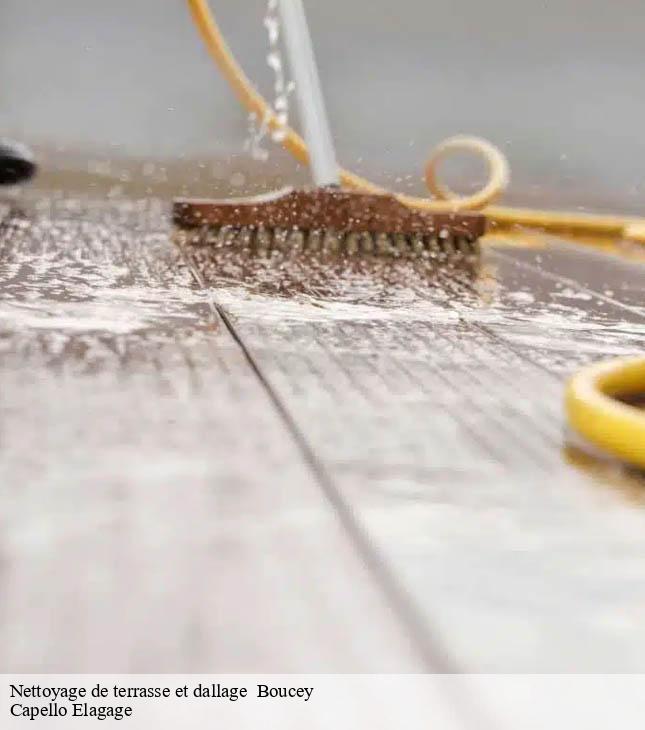 Nettoyage de terrasse et dallage   boucey-50170 Capello Elagage