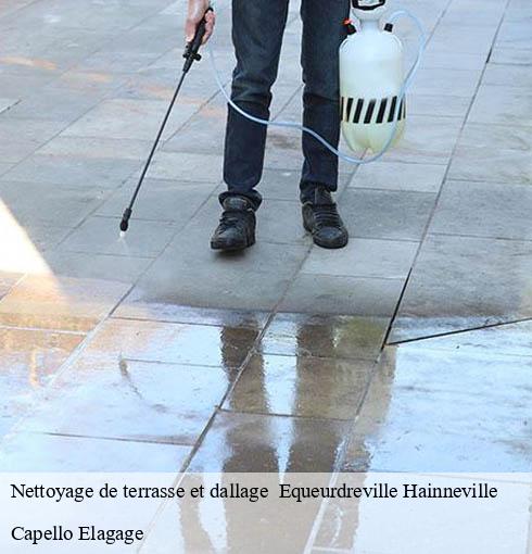 Nettoyage de terrasse et dallage   equeurdreville-hainneville-50120 Capello Elagage
