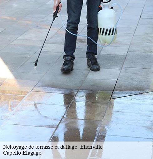 Nettoyage de terrasse et dallage etienville-50360 Capello Elagage