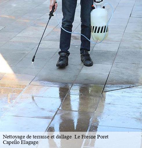 Nettoyage de terrasse et dallage le-fresne-poret-50850 Capello Elagage