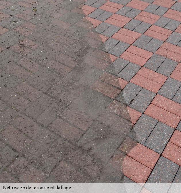 Nettoyage de terrasse et dallage greville-hague-50440 Capello Elagage