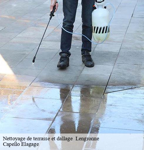 Nettoyage de terrasse et dallage   lengronne-50510 Capello Elagage