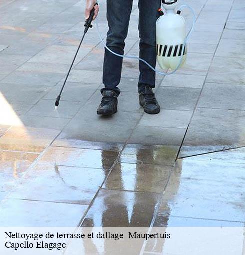 Nettoyage de terrasse et dallage maupertuis-50410 Capello Elagage