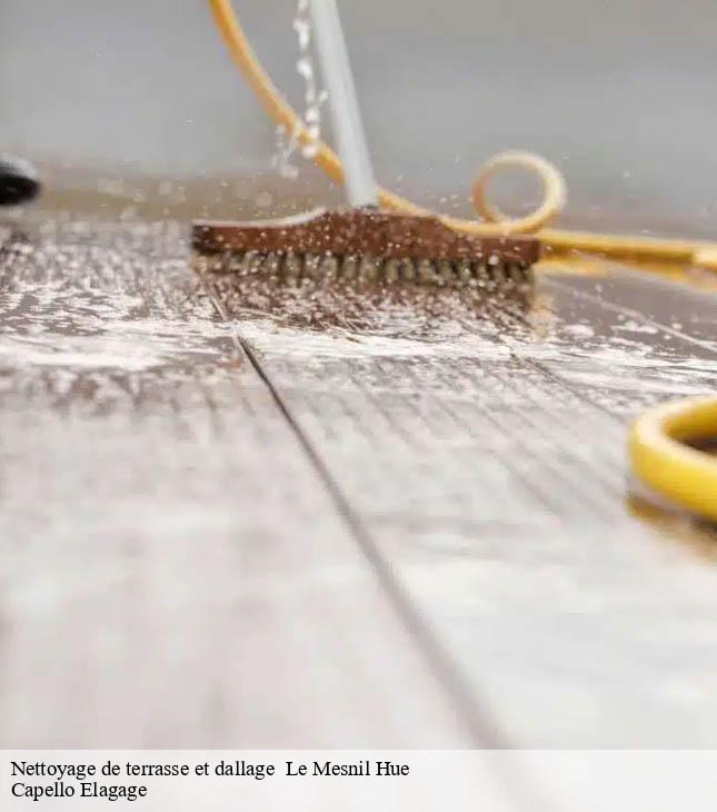 Nettoyage de terrasse et dallage le-mesnil-hue-50450 Capello Elagage