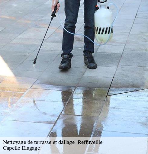 Nettoyage de terrasse et dallage reffuveille-50520 Capello Elagage