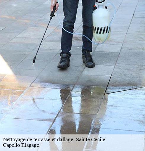 Nettoyage de terrasse et dallage   sainte-cecile-50800 Capello Elagage
