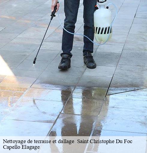 Nettoyage de terrasse et dallage   saint-christophe-du-foc-50340 Capello Elagage
