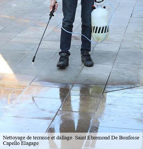 Nettoyage de terrasse et dallage saint-ebremond-de-bonfosse-50750 Capello Elagage