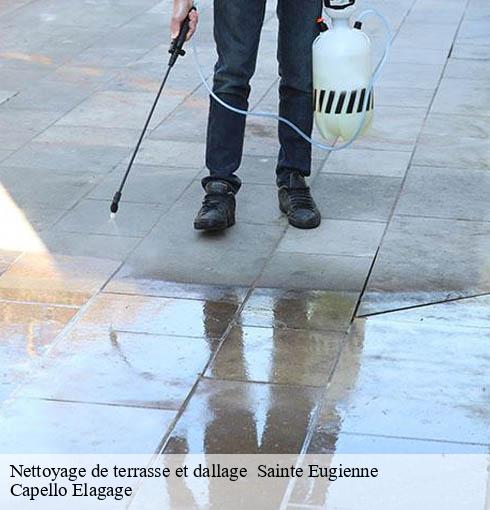 Nettoyage de terrasse et dallage   sainte-eugienne-50870 Capello Elagage
