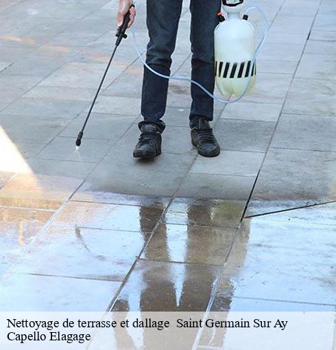 Nettoyage de terrasse et dallage   saint-germain-sur-ay-50430 Capello Elagage