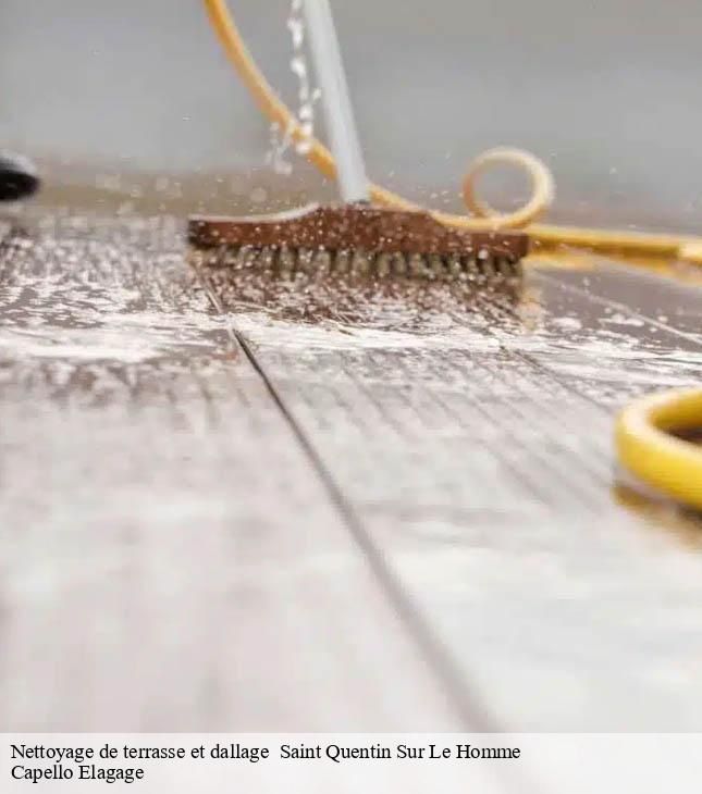 Nettoyage de terrasse et dallage   saint-quentin-sur-le-homme-50220 Capello Elagage