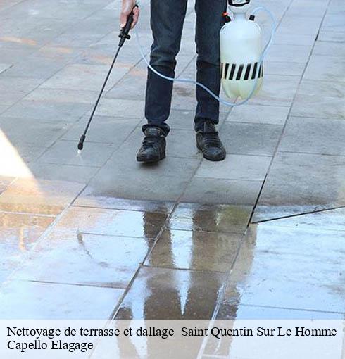 Nettoyage de terrasse et dallage   saint-quentin-sur-le-homme-50220 Capello Elagage