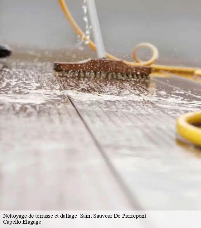 Nettoyage de terrasse et dallage   saint-sauveur-de-pierrepont-50250 Capello Elagage