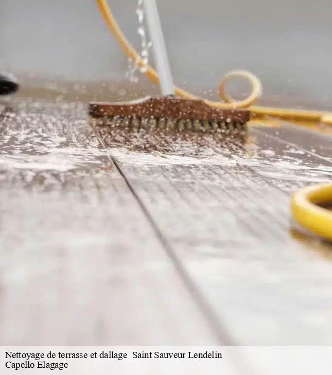 Nettoyage de terrasse et dallage saint-sauveur-lendelin-50490 Capello Elagage