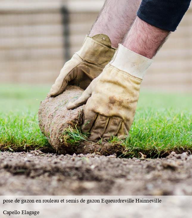 pose de gazon en rouleau et semis de gazon equeurdreville-hainneville-50120 Capello Elagage