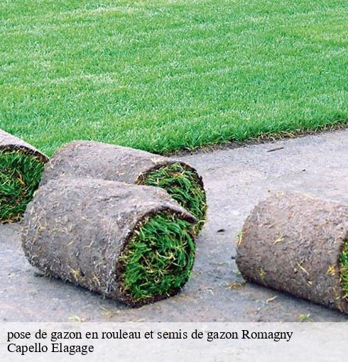 pose de gazon en rouleau et semis de gazon  romagny-50140 Capello Elagage