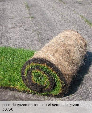pose de gazon en rouleau et semis de gazon saint-brice-de-landelles-50730 Capello Elagage