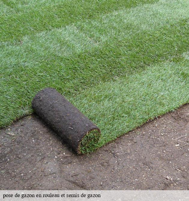 pose de gazon en rouleau et semis de gazon saint-denis-le-vetu-50210 Capello Elagage