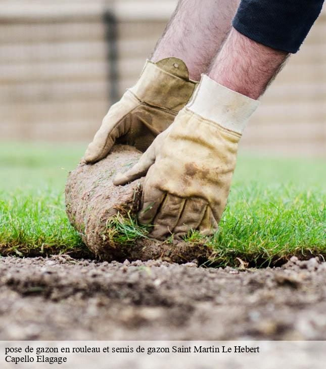 pose de gazon en rouleau et semis de gazon saint-martin-le-hebert-50260 Capello Elagage
