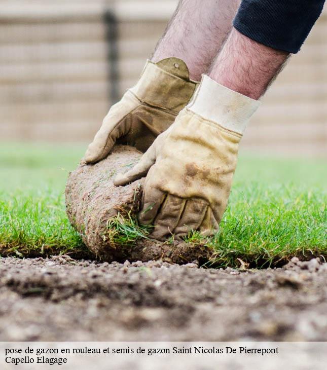 pose de gazon en rouleau et semis de gazon  saint-nicolas-de-pierrepont-50250 Capello Elagage