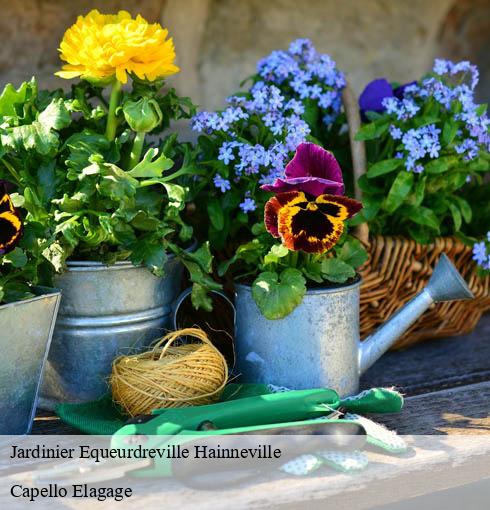Jardinier equeurdreville-hainneville-50120 Capello Elagage