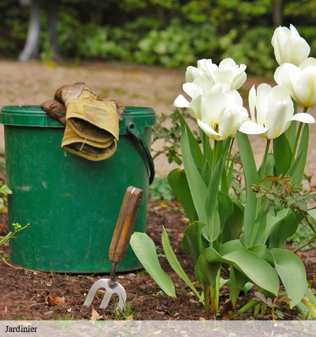 Jardinier  fervaches-50420 Capello Elagage