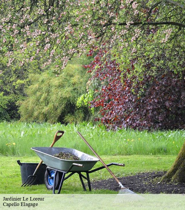 Jardinier  le-loreur-50510 Capello Elagage
