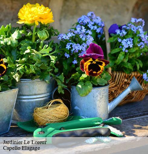 Jardinier  le-loreur-50510 Capello Elagage