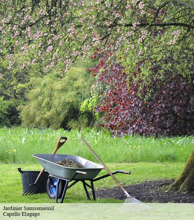 Jardinier  saussemesnil-50700 Capello Elagage