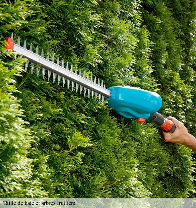 Taille de haie et arbres fruitiers  les-champs-de-losque-50620 Capello Elagage