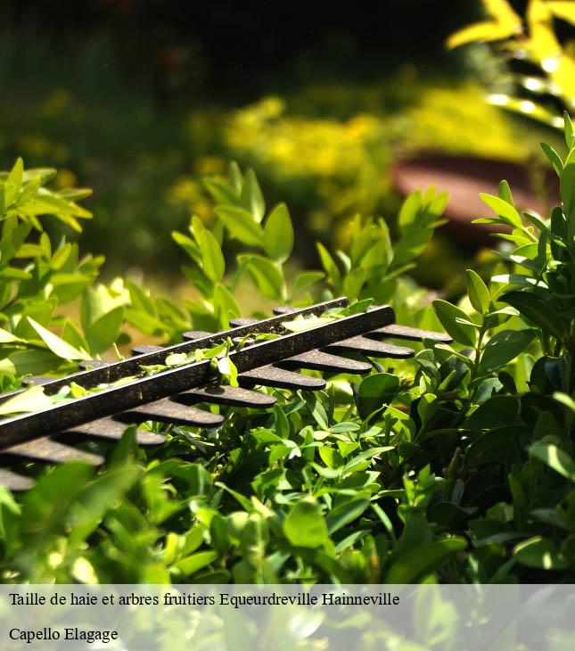 Taille de haie et arbres fruitiers equeurdreville-hainneville-50120 Capello Elagage