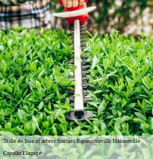 Taille de haie et arbres fruitiers equeurdreville-hainneville-50120 Capello Elagage