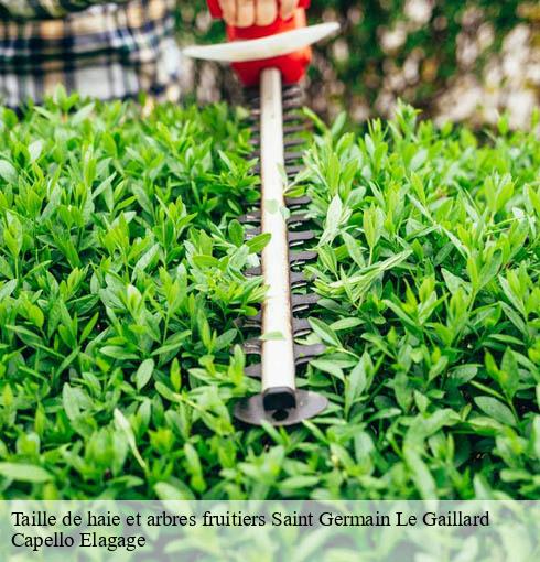 Taille de haie et arbres fruitiers  saint-germain-le-gaillard-50340 Capello Elagage