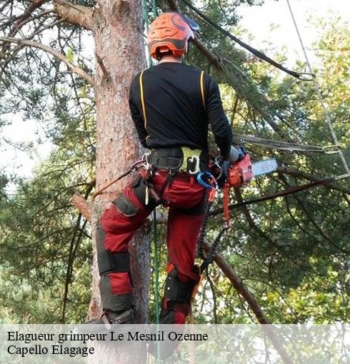 Elagueur grimpeur  le-mesnil-ozenne-50220 Capello Elagage