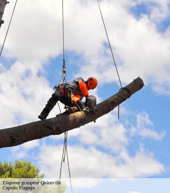 Elagueur grimpeur quineville-50310 Capello Elagage