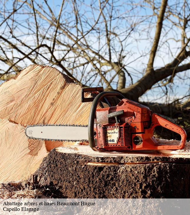 Abattage arbres et haies  beaumont-hague-50440 Capello Elagage