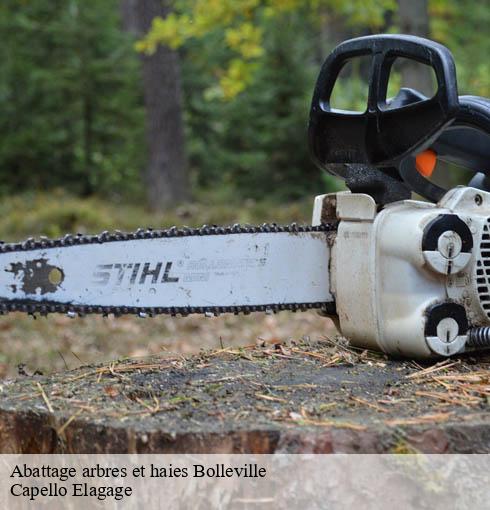 Abattage arbres et haies  bolleville-50250 Capello Elagage
