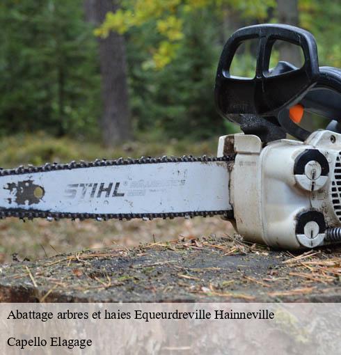Abattage arbres et haies equeurdreville-hainneville-50120 Capello Elagage