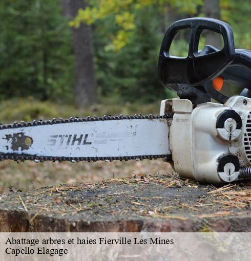 Abattage arbres et haies  fierville-les-mines-50580 Capello Elagage