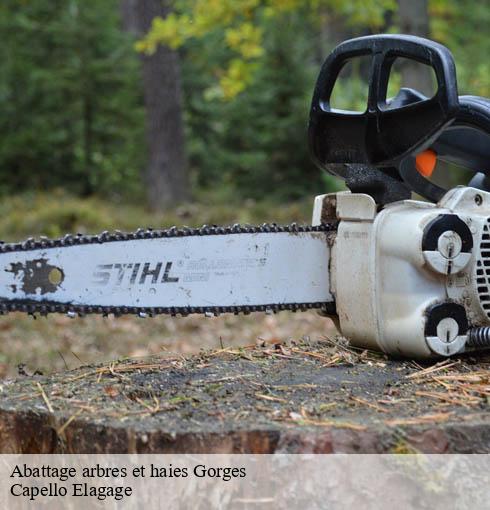 Abattage arbres et haies  gorges-50190 Capello Elagage
