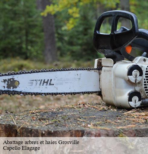 Abattage arbres et haies grosville-50340 Capello Elagage