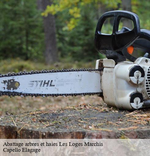 Abattage arbres et haies les-loges-marchis-50600 Capello Elagage