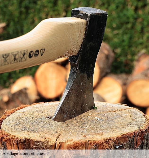 Abattage arbres et haies  la-mancelliere-sur-vire-50750 Capello Elagage