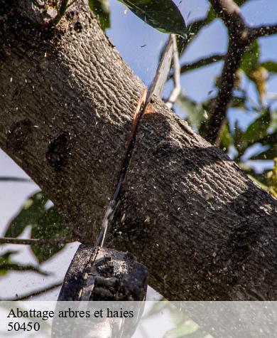 Abattage arbres et haies  le-mesnil-rogues-50450 Capello Elagage