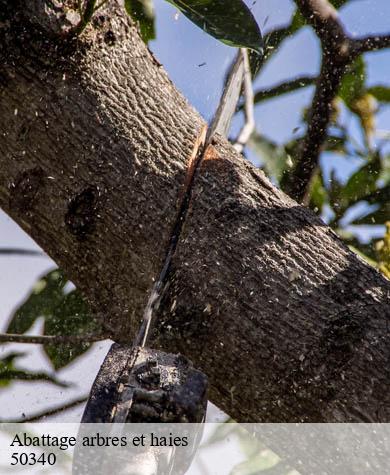 Abattage arbres et haies  pierreville-50340 Capello Elagage