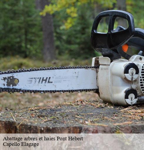 Abattage arbres et haies  pont-hebert-50880 Capello Elagage