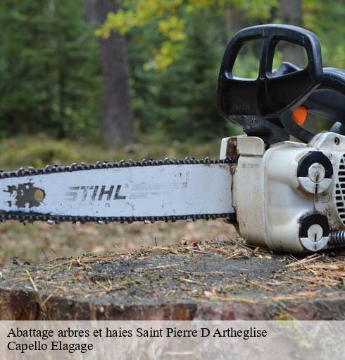 Abattage arbres et haies  saint-pierre-d-artheglise-50270 Capello Elagage